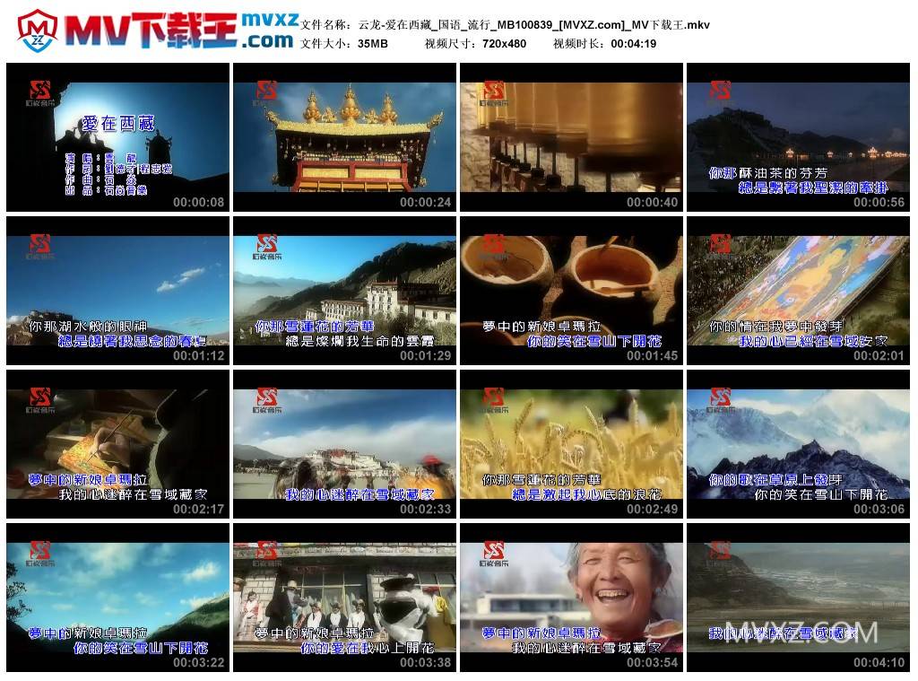 云龙-爱在西藏_国语_流行_MB100839